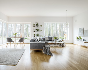 Living-Room-5c1a9deada05c