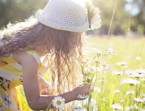 Tips to Keep a Clean House in the Summer