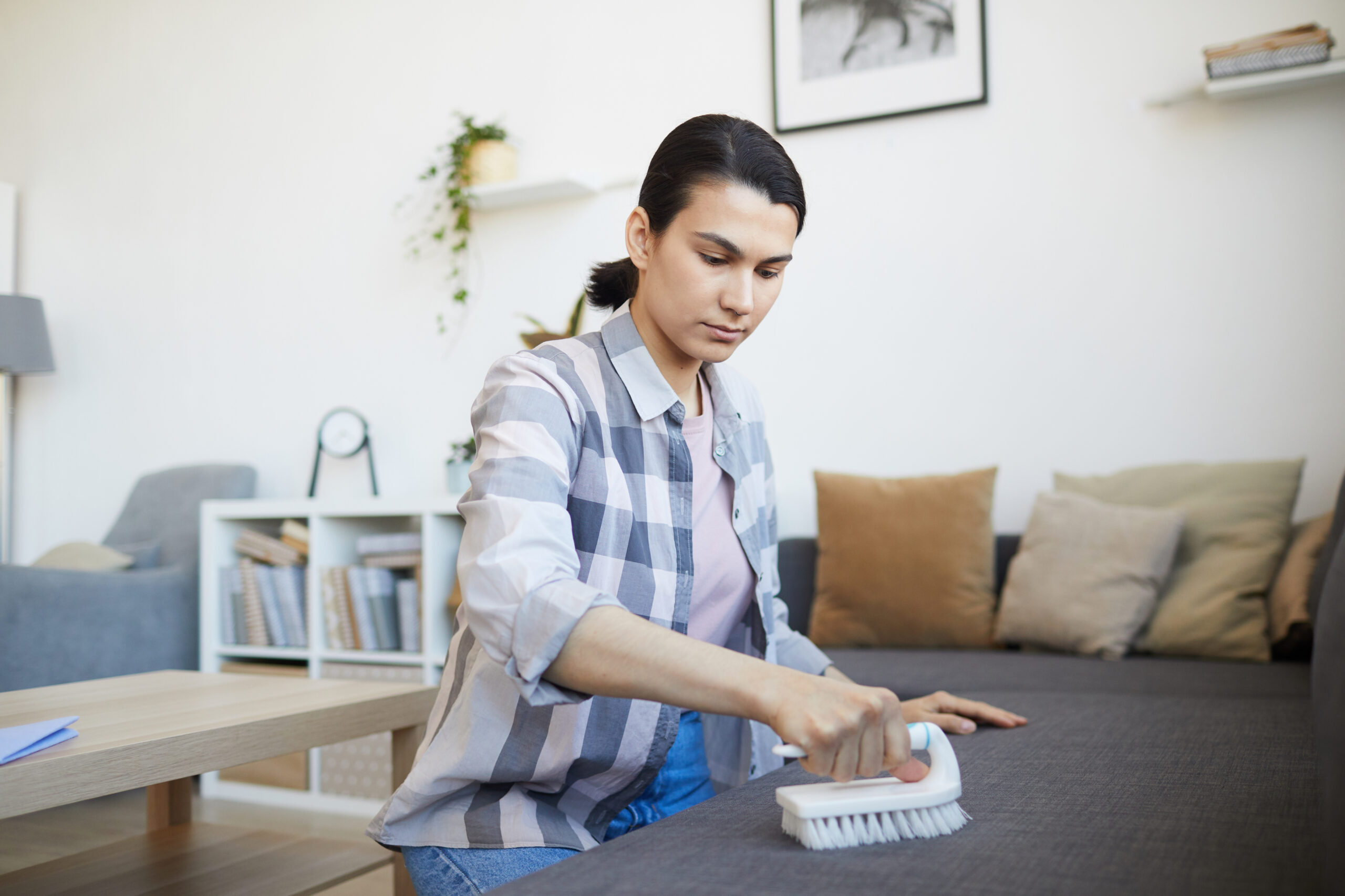 Young woman cleaning the sofa with brush in the living room