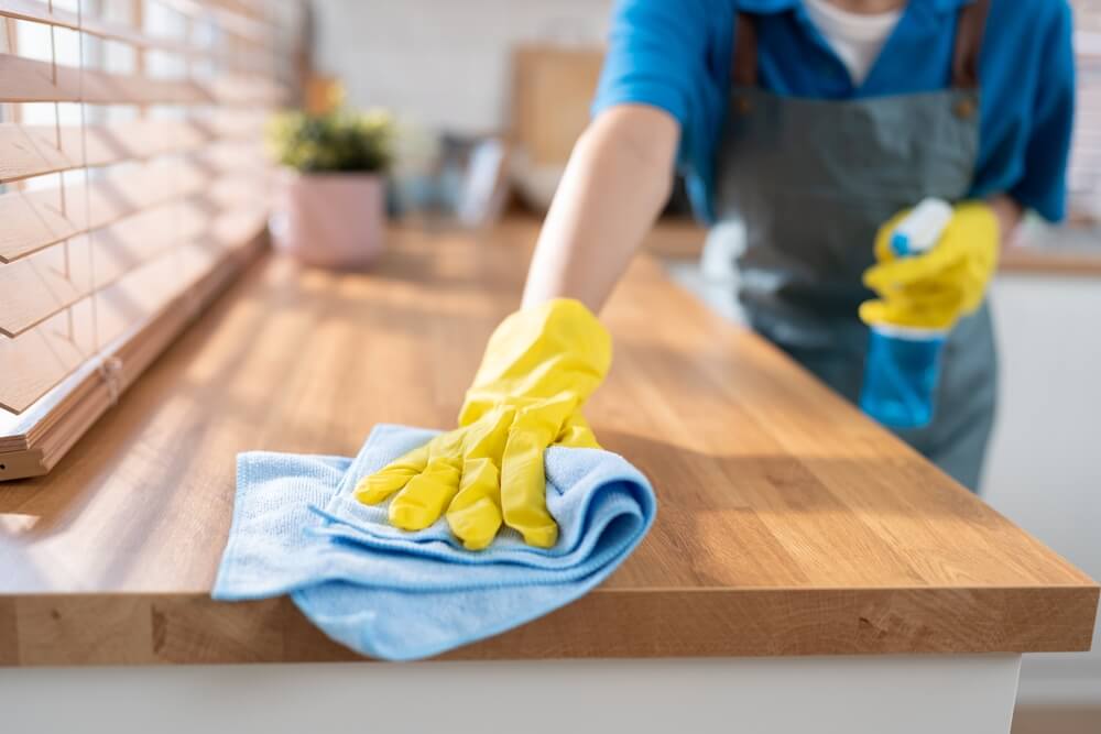 house cleaners